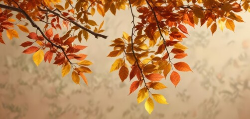 Autumn branch with colorful leaves against a warm orange background ,  foliage,  forest,  fall