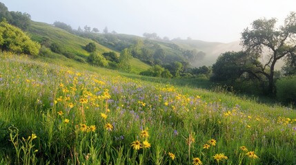 Fototapeta premium Serene Morning on Foggy Hillside - Nature's Beauty Revealed in Wildflowers and Light