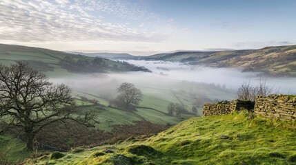 Fototapeta premium Serene Hillside View of Foggy Valley in Soft Light - Tranquil Landscape Photography