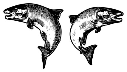 Atlantic salmon fish illustrations in retro black and white comic book style 
