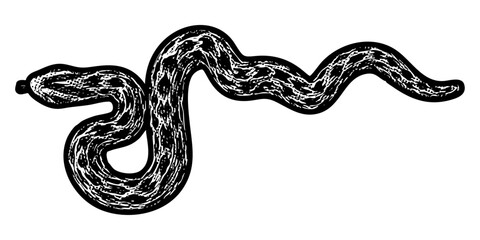 Fototapeta premium Stylized snake illustration in retro black and white halftone newspaper print graphic style