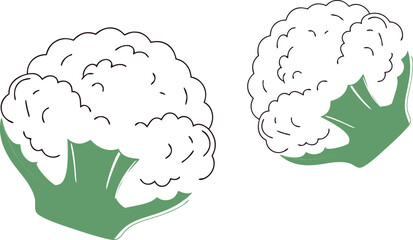 cauliflower on white background vector art 
