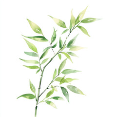 Fototapeta premium A Watercolor style depiction of bamboo branch with vibrant green leaves, showcasing nature beauty and tranquility