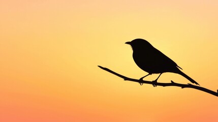Fototapeta premium Hopeful Silhouette: Bird perched on Branch at Sunset, Embracing Nature's Beauty