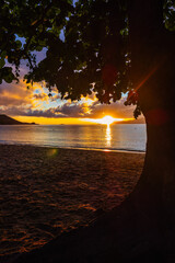 Pereque Beach at sunset in Ilhabela Bela, Sao Paulo, Brazil. Sunset view at Pereque Beach under a tree in Ilhabela, Sao Paulo, Brazil.