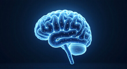 Fototapeta premium human brain anatomy, brain, human, medical, head, x-ray, anatomy, 3d, blue, medicine, mind, science, scan, health, body, intelligence, illustration, mri, xray, abstract, light, technology, skull, neur
