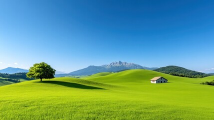 Fototapeta premium Serene landscape with rolling green hills, a tree, and a house.