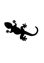 LIZARD ICON IMAGEN Lagartos Reptil