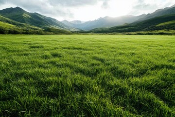 Obraz premium Vibrant green meadows nestled between majestic mountains under a dramatic sky near twilight hours