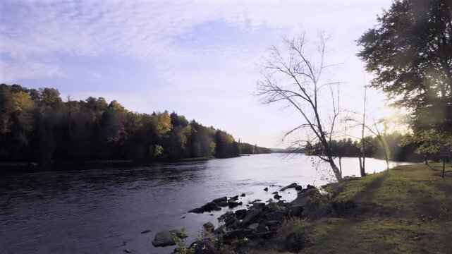 A river running through a forest
