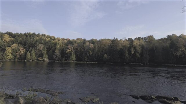 A river running through a forest