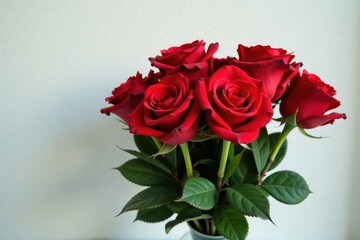 Red roses in a long-stemmed bouquet arrangement , blooms, beauty