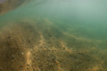 Underwater view of sandy ocean floor.