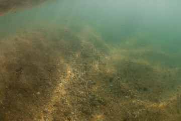 Underwater view of sandy ocean floor.