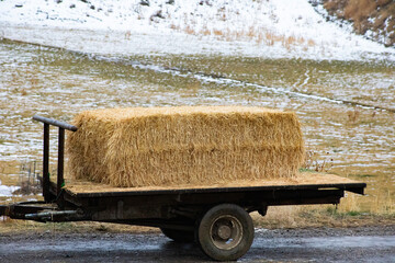 Hay bale on the trailer during winter