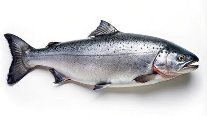 Naklejka premium Simple flat of a salmon fish, salmon, fish, seafood, flat design,aquatic, ocean life, pink, scales, cartoon, aquatic life