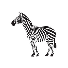 Zebra Illustration in Black and White