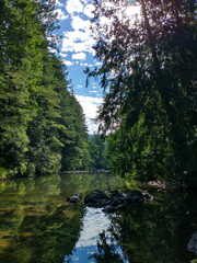 Douglas fir and pine trees are reflected in a mountain river with blue sky and vibrant clouds