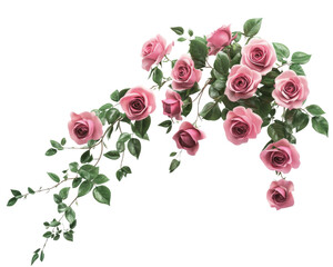 Beautiful pink roses with green leaves cascading elegantly, creating romantic and serene atmosphere. Perfect for floral arrangements and decorative purposes