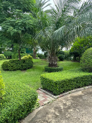 nature garden in country Thailand