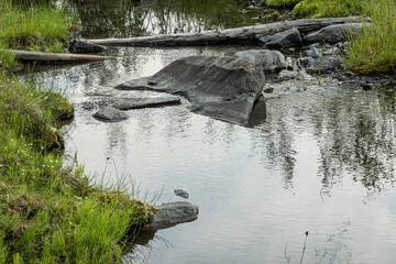 the river in the forest