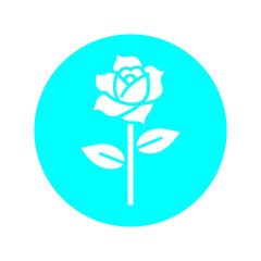 Rose Flower