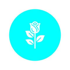 Fototapeta premium Rose Flower