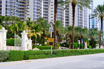 Speed limit sign and speed monitoring display along a road surrounded by palm trees and high-rise residential buildings in a tropical urban environment.