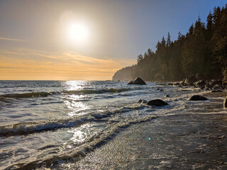 Waves from the pacific ocean roll into a beach bathed in golden sunlight on Vancouver island near...