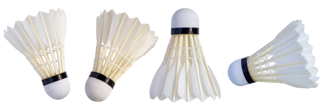Shuttlecock isolated on white background. Badminton ball.