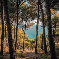 Obraz premium pine forest with a beautiful view of the sea in the background. The trees create a natural canopy