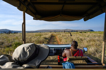 View from inside safari vehicle, with guest and guide, driving on dirt road on grassland savanna, Lewa Conservancy, African wildlife adventure safari in Kenya  © knelson20
