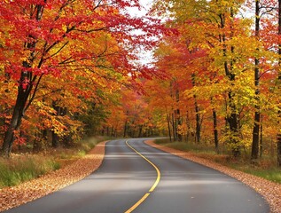 road in autumn