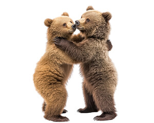 Cuddly brown bear cubs playfully embrace each other in joyful moment. Their soft fur and playful demeanor create heartwarming scene of friendship and innocence