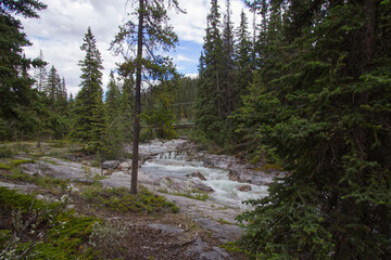 Maligne Canyon in the Summer