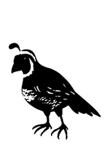 black and white vector image of silhouette Wild animal portrait, beauty, body line art. For use as a brochure template or for use in a web design image