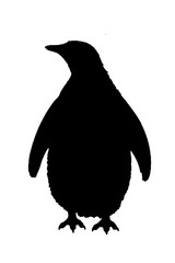 black and white vector image of silhouette Wild animal portrait, beauty, body line art. For use as a brochure template or for use in a web design image