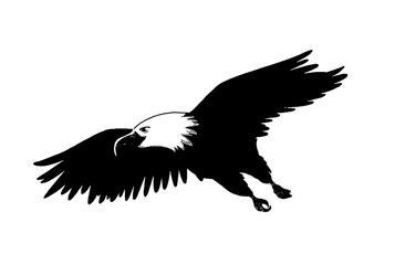 black and white vector image of silhouette Wild animal portrait, beauty, body line art. For use as a brochure template or for use in a web design image