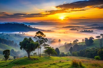 Obraz premium African dawn paints the foggy landscape; high DOF captures the misty hills and tree silhouettes.