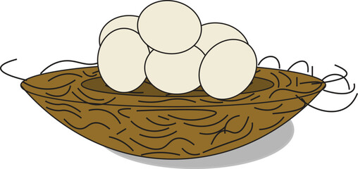 the illustration of eggs in the bird nest