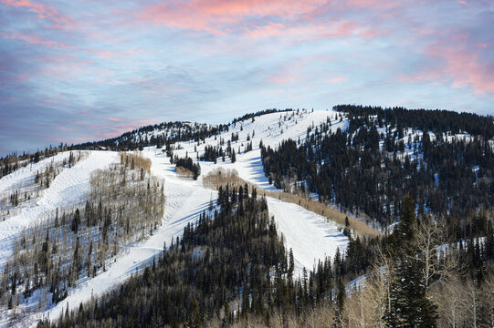 Snow-covered steamboat Colorado ski slopes, bathed in a bright morning sky tinted with gentle shades of pink and blue.