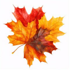 Obraz premium Colorful Autumn Leaves in Vibrant Red, Orange, and Yellow Arranged on White Background for Natural Decoration