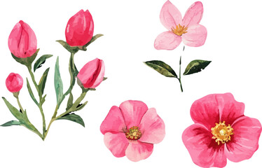 bouquet of pink tulips