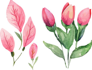 Fototapeta premium bouquet of tulips