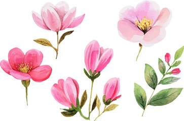 Fototapeta premium pink and white tulips