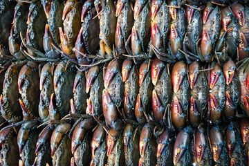 Freshwater Crabs Ben Thanh Market Ho Chi Minh City Vietnam