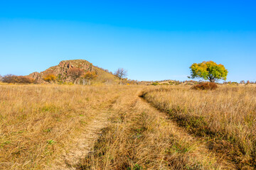 Beautiful grassland pasture nature landscape in Inner Mongolia, China. Autumn scenery.