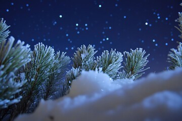 Frost-covered pine branches peek from beneath a blanket of snow against a starry night sky.