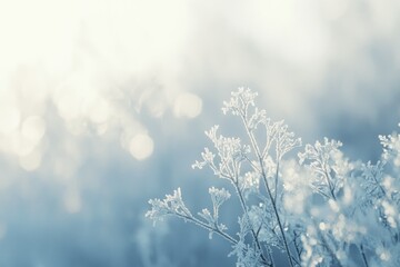 Frost-covered branches glisten in the soft winter sunlight, creating a serene, magical scene.