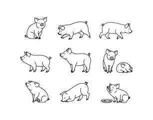 Fototapeta premium Minimalist Silhouette Collection Vector Template Teacup Pigs